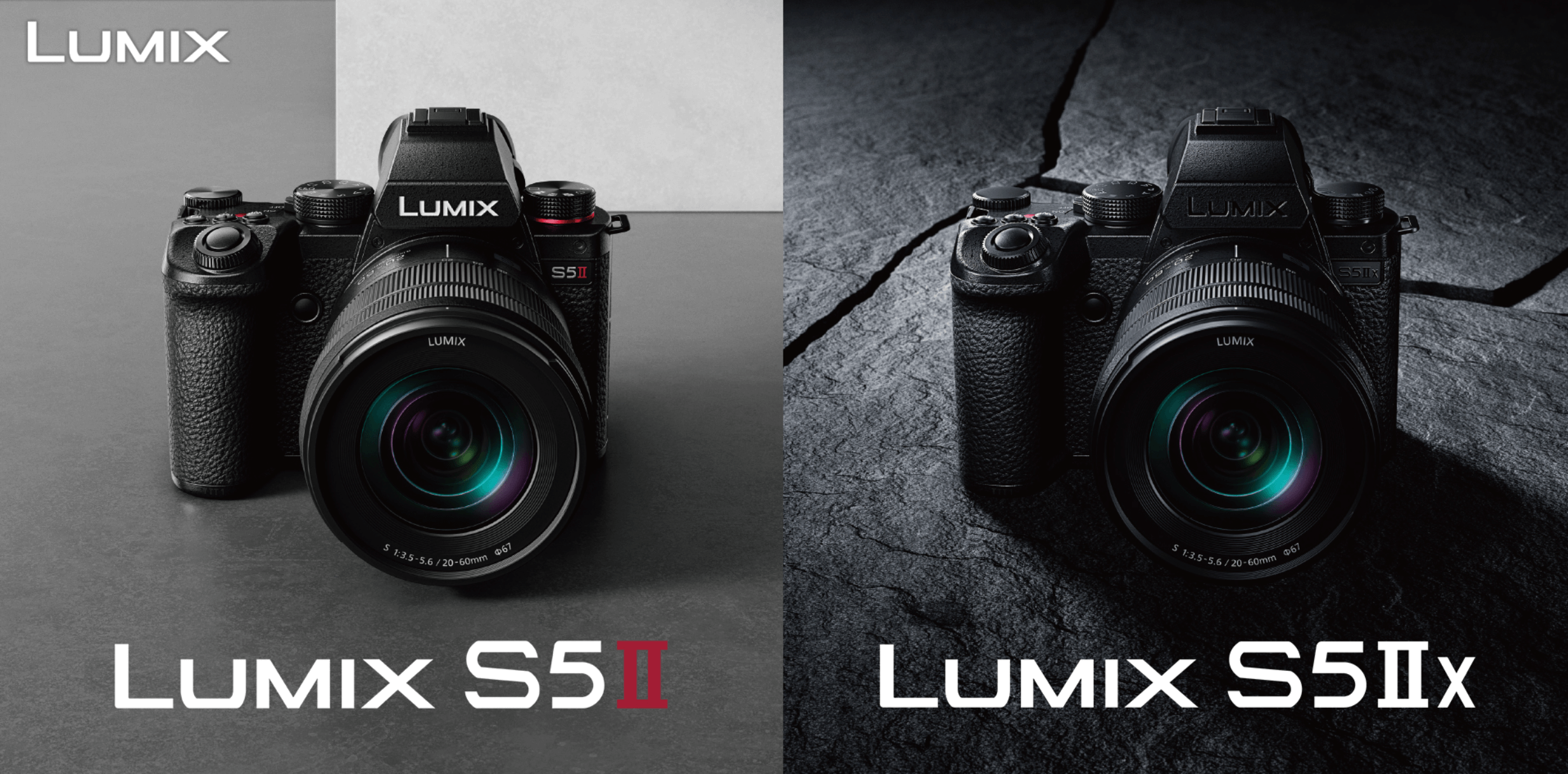 LUMIX S 24mm F1.8 S-S24 [ライカL  単焦点レンズ